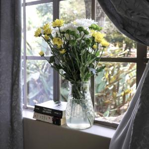 Budget Double Room with Garden View