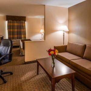 Queen Junior Suite - Sofa Bed - Non Smoking