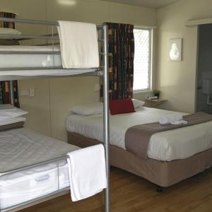 One-Bedroom Cabin - Disability Cabin - Pet Friendly