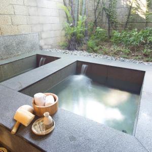 Double Room with Hot Spring (Check-in after 21:00PM)