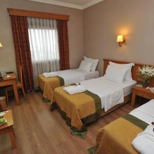 Economy Triple Room