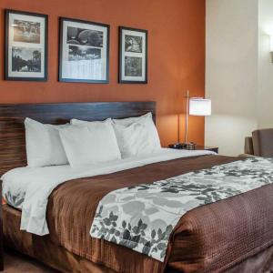Queen Room - Disability Access/Non-Smoking