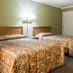 Double Room with Two Double Beds