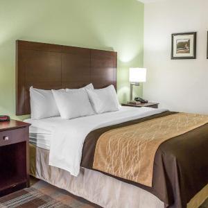 King Room - Disability Access/Non-Smoking