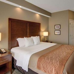 King Room - Accessible/Non-Smoking