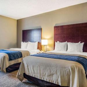 Queen Room with Two Queen Beds - Non-Smoking