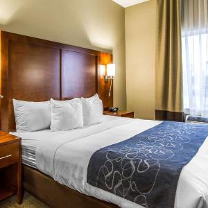 King Suite with Roll-In Shower - Accessible/Non-Smoking