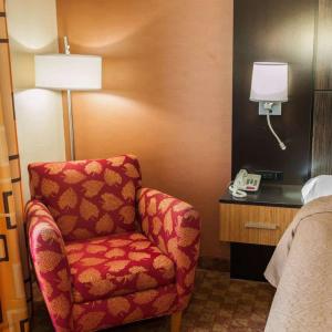 Queen Room - Non-Smoking