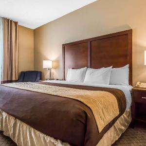 King Room with Roll-In Shower - Mobility Accessible/Non Smoking
