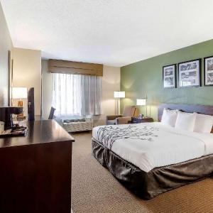 King Room - Accessible/Smoking