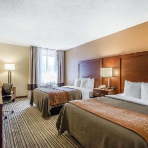 Double Room with Two Double Beds - Non-Smoking