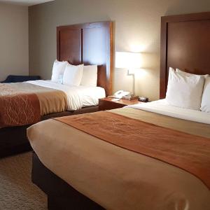 Queen Room with Two Queen Beds - Non-Smoking