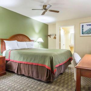 King Room with Roll-In Shower - Accessible/Non-Smoking