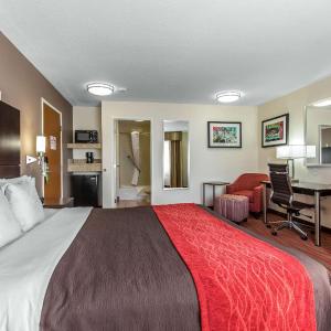 Standard Room, 1 King Bed, Non Smoking
