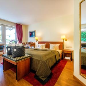 Superior Double Room with southfacing balcony
