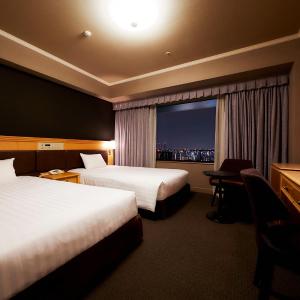 Standard Twin Room with City View - Non-Smoking