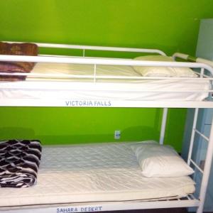Single Bed in 10-Bed Dormitory Room