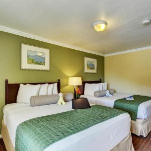 Queen Room with Two Queen Beds