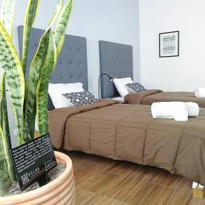 Twin Room with Private Bathroom