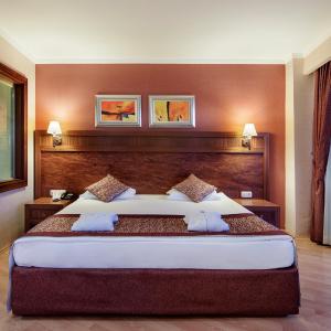 Standard Double or Twin Room with Garden View
