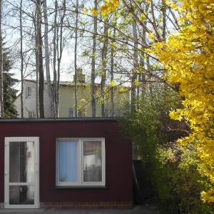 Chalet (4 Adults)