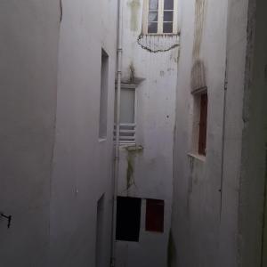Twin Room with Courtyard View