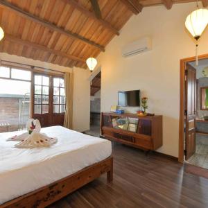 Superior Queen Room