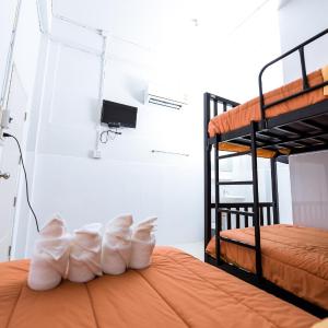 Bunk Bed in Female Dormitory Room  