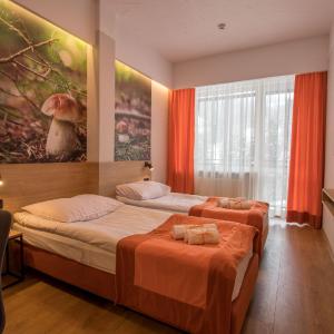 Twin Room with Mountain View