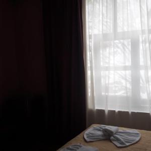 Deluxe Double Room (2 Adults + 1 Child)