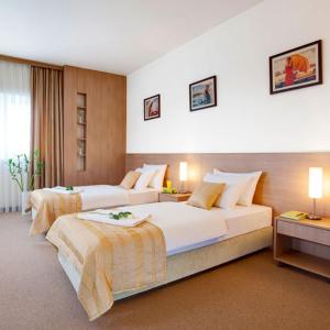 Superior Triple Room with Free Parking