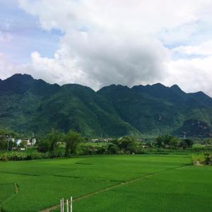 King Room with Mountain View