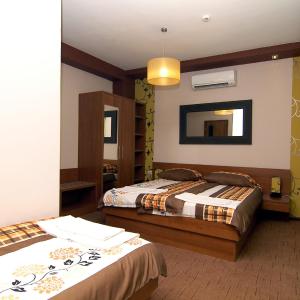 Triple Room with Terrace or Balcony