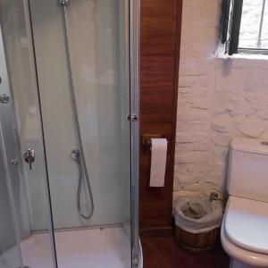 Comfort Suite