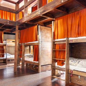 Bed in 24-Bed Mixed Dormitory Room