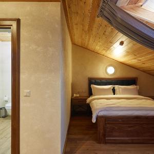 Standard Double Room Attic with Spa Access