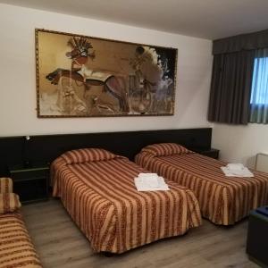 Economy Single Room