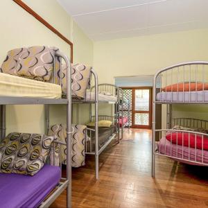Bed in 8-Bed Mixed Dormitory Room