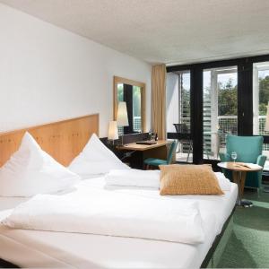 Comfort Double Room with Park View