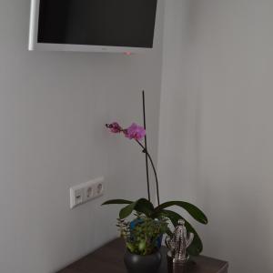 Deluxe Double Room with Extra Bed