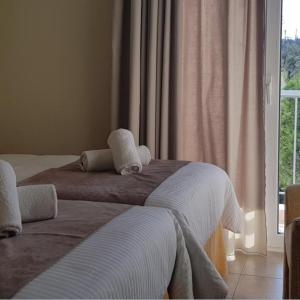 Twin or Double Room