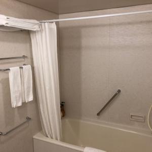 Superior Suite - Smoking Upper Floor