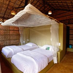 Eco Hut