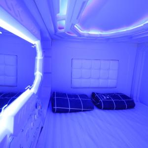 Double Space Pod in Mixed Dormitory 