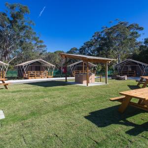 Safari Tent