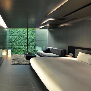 Deluxe Double Room with Garden View - Black