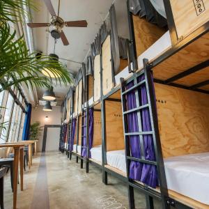 Bunk Bed in Female Dormitory Room  