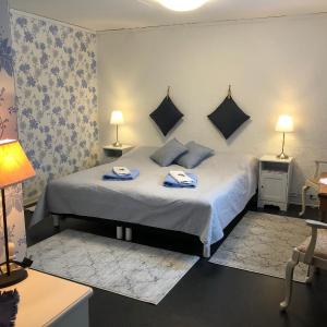Superior Double or Twin Room with Private Bathroom