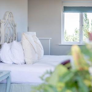 Superior Garden Suite