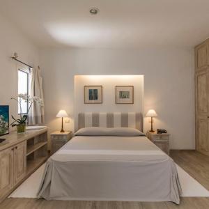 Junior Suite with Garden View